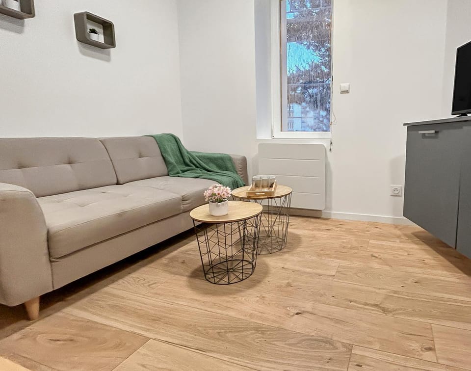 Studio rénové et central à 2 pas du cœur de Nancy Apartment in Nancy