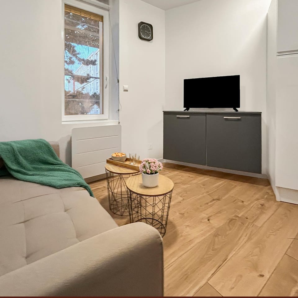 Studio rénové et central à 2 pas du cœur de Nancy Apartment in Nancy