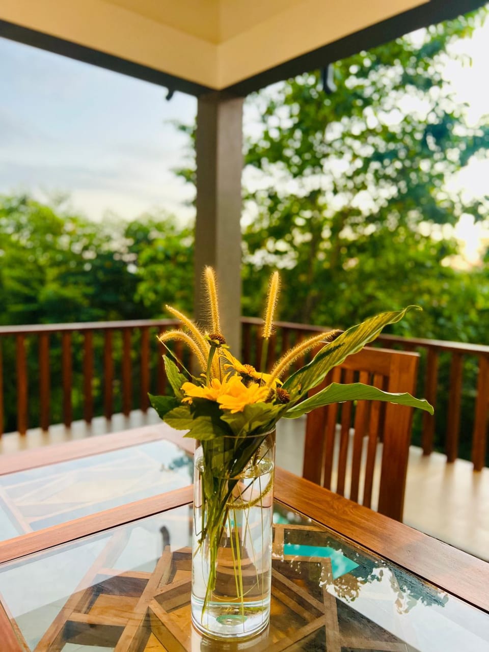 Garden, Balcony/Terrace, Balcony/Terrace, Dining area