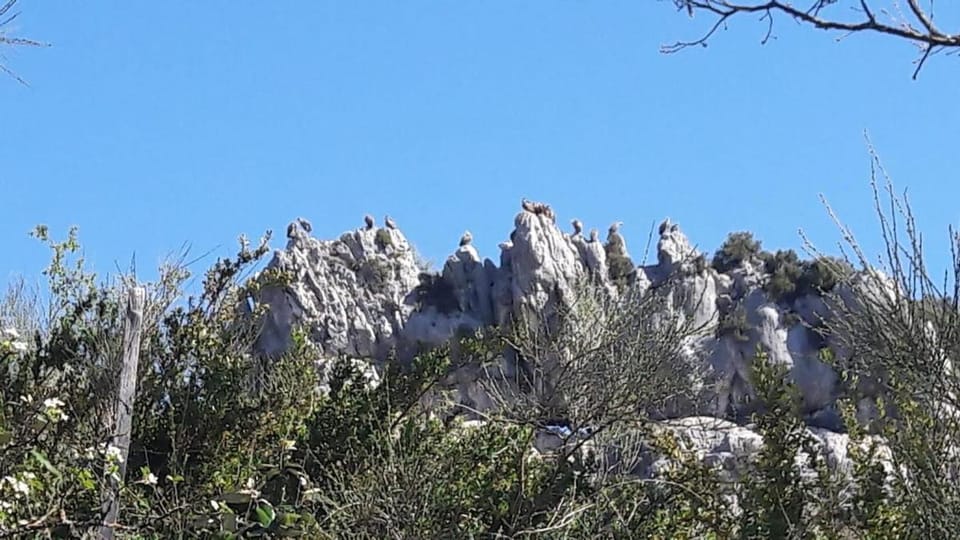 Chambre du Champon GR49 Bed and Breakfast in Verdon Gorge