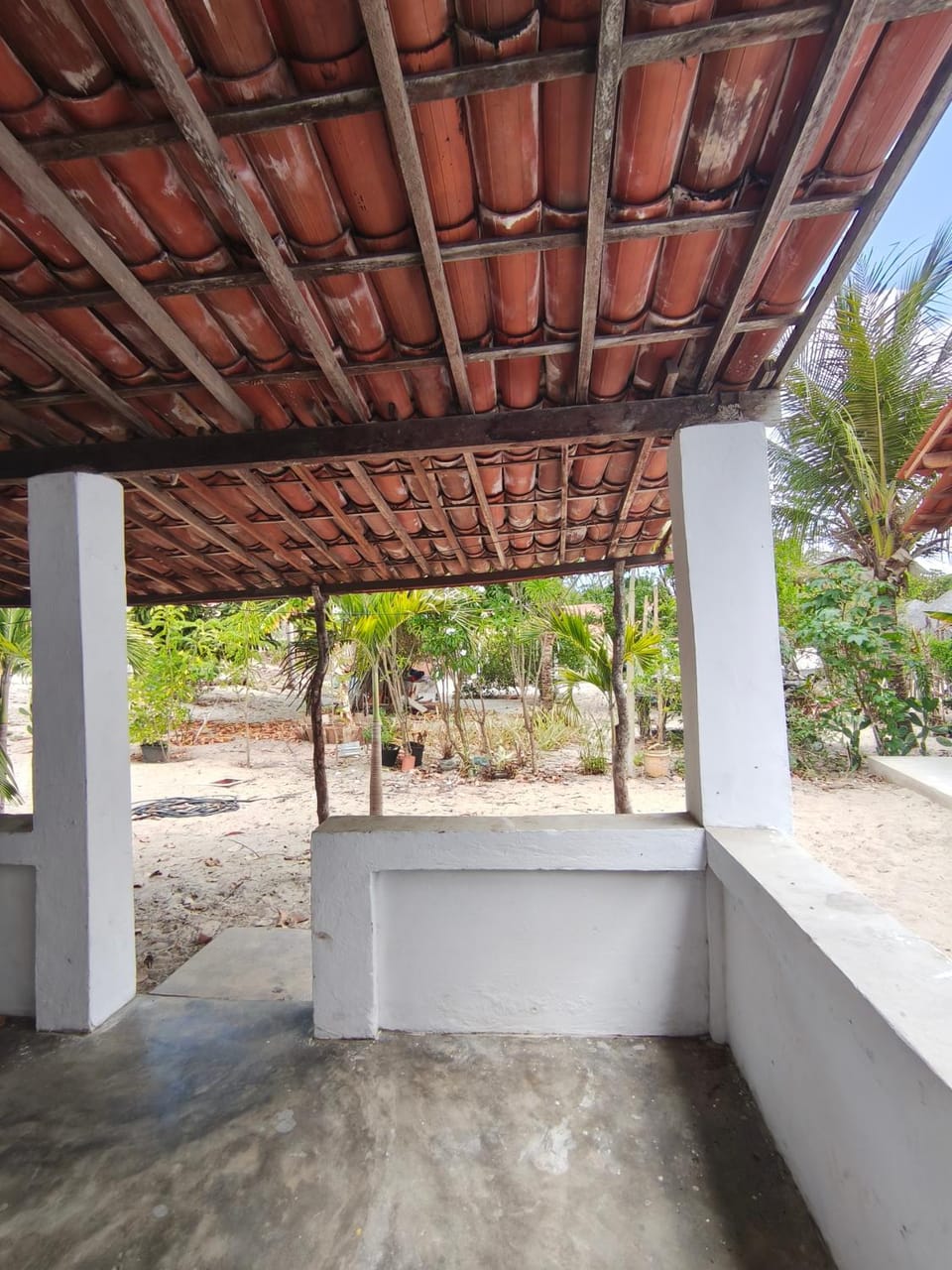Garden view
