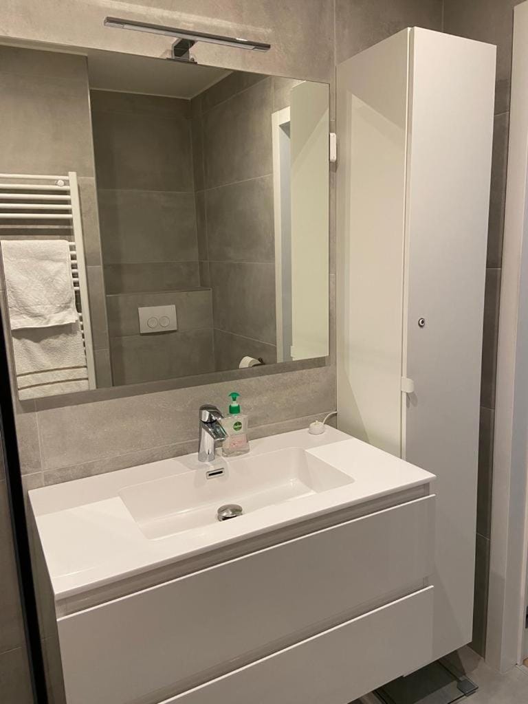 Apparemment 1 chambre Apartment in Brussels
