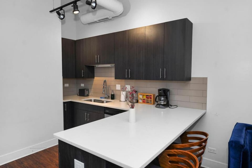 Cozy Chicago Smoke Ok 3BR Suite Near McCormick Apartment in South Loop