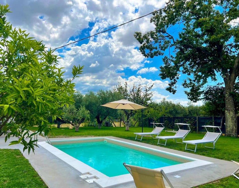 Natural landscape, Garden, Garden view, Pool view, Swimming pool, sunbed