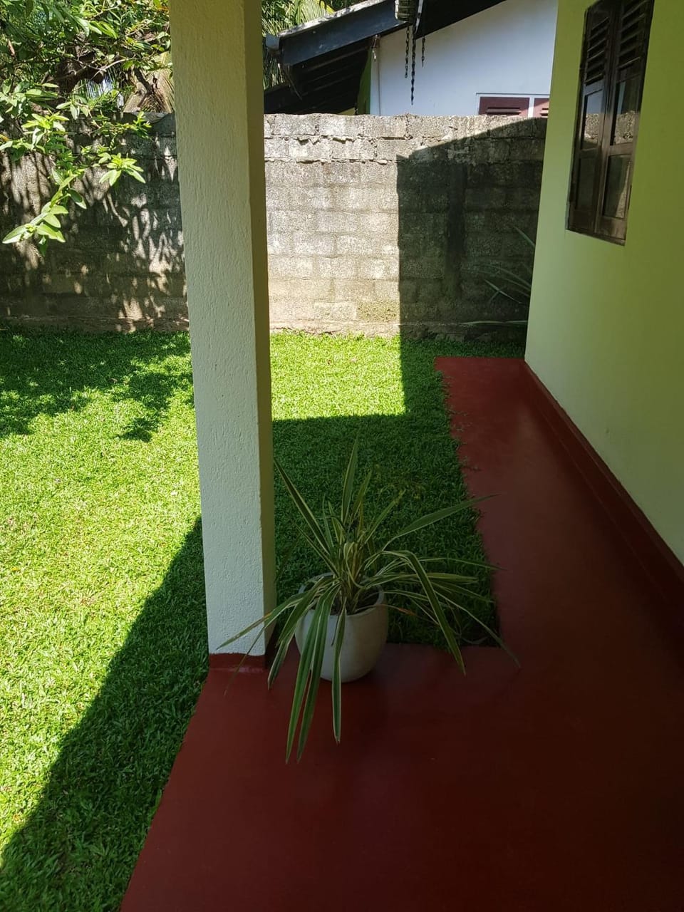 Patio, Spring, Day, Garden, Garden view