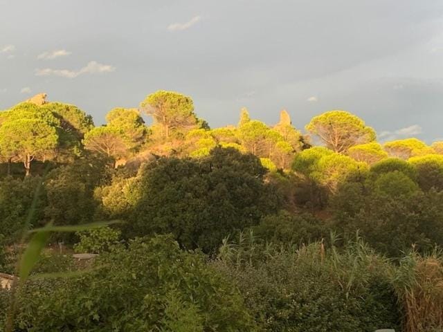 Les Joncas gite et ou chambres d hôtes House in Occitanie