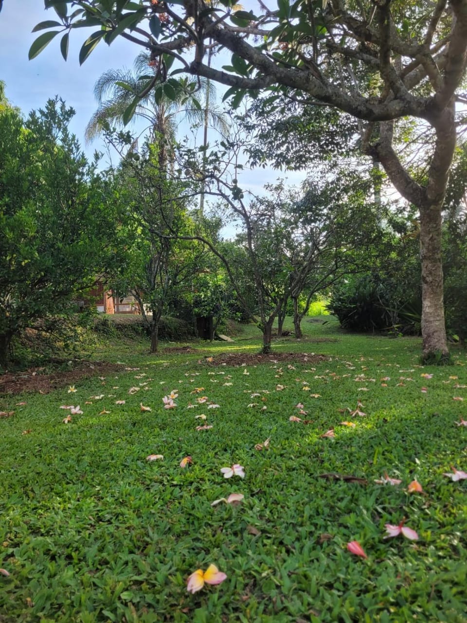 Natural landscape, Garden