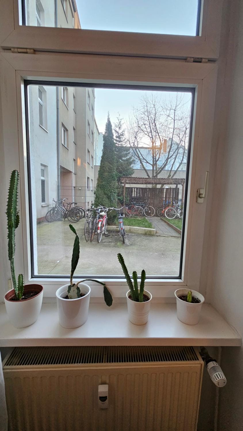 Holiday Everyday in Berlin Apartment in Berlin