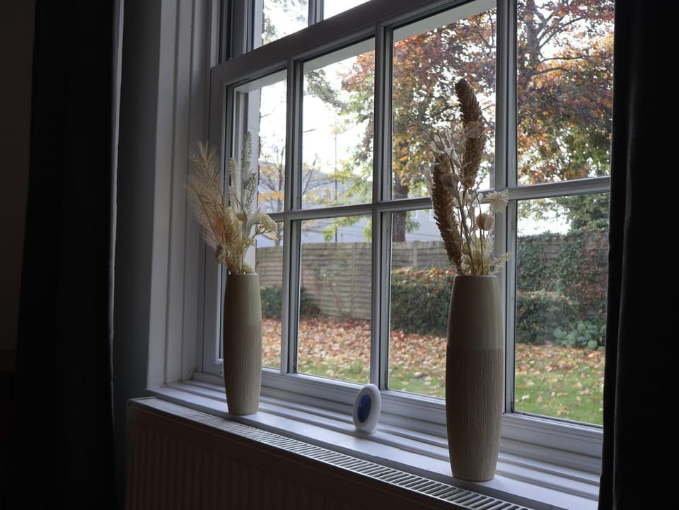 Garden, Garden view