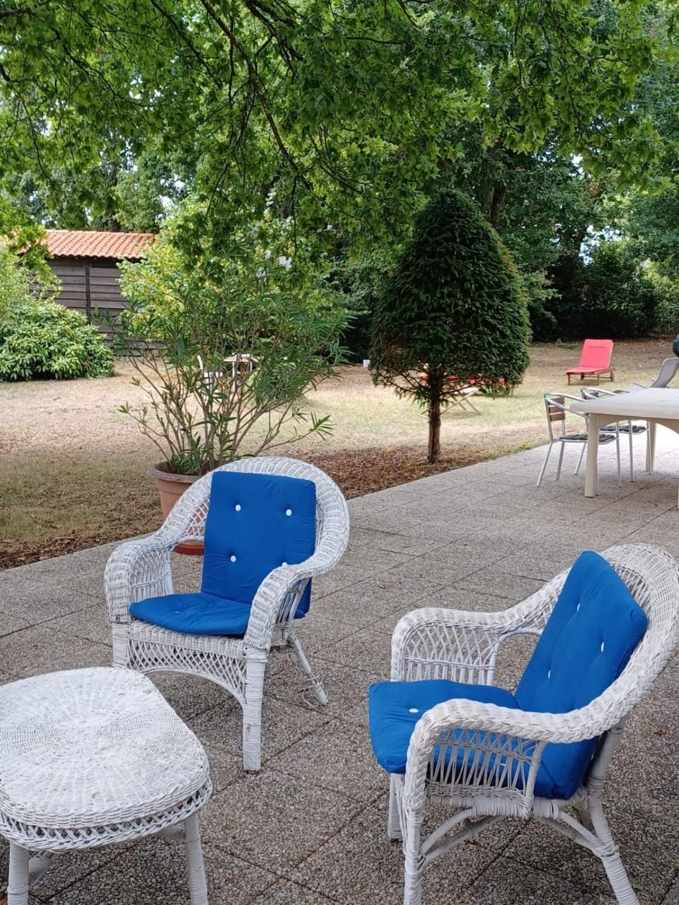 Garden view