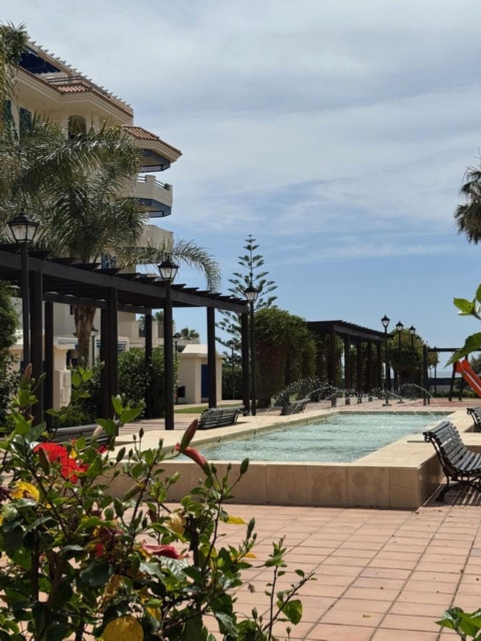 Garden, Garden view, Sunset