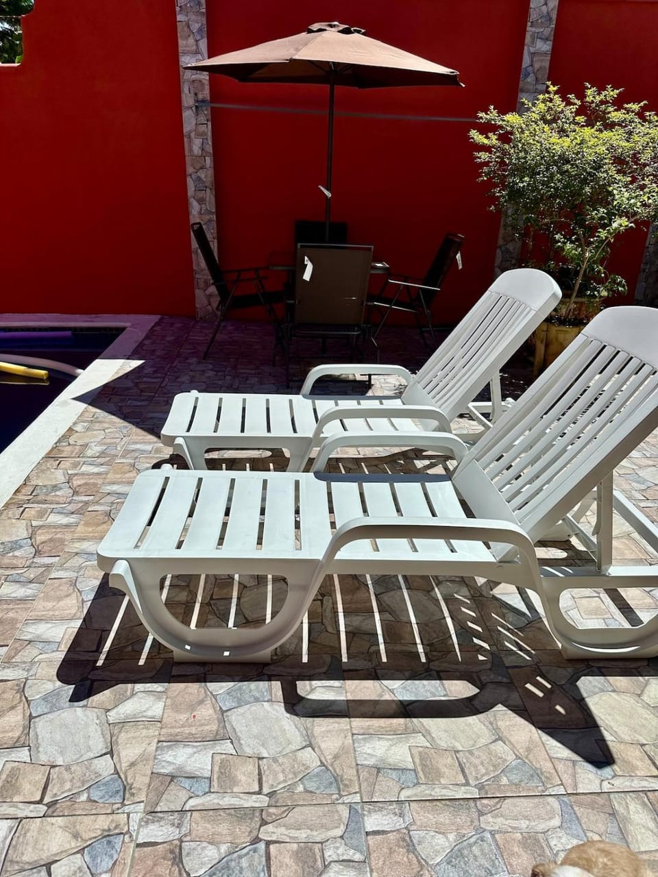 sunbed