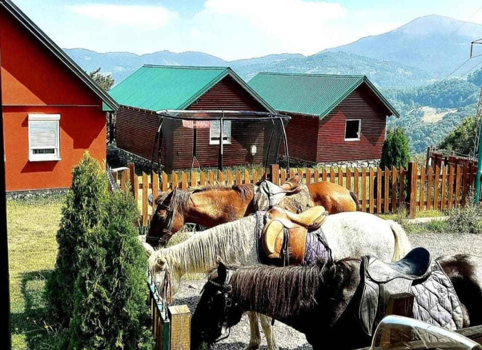 Eco village & resort Coric Delux bungalow Apartment in Montenegro