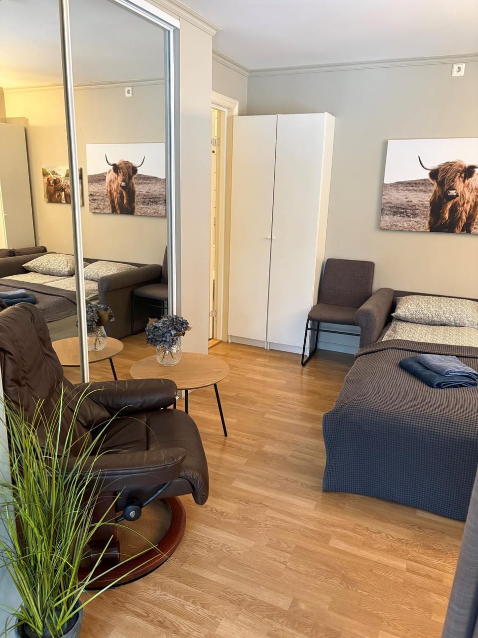 Photo of the whole room