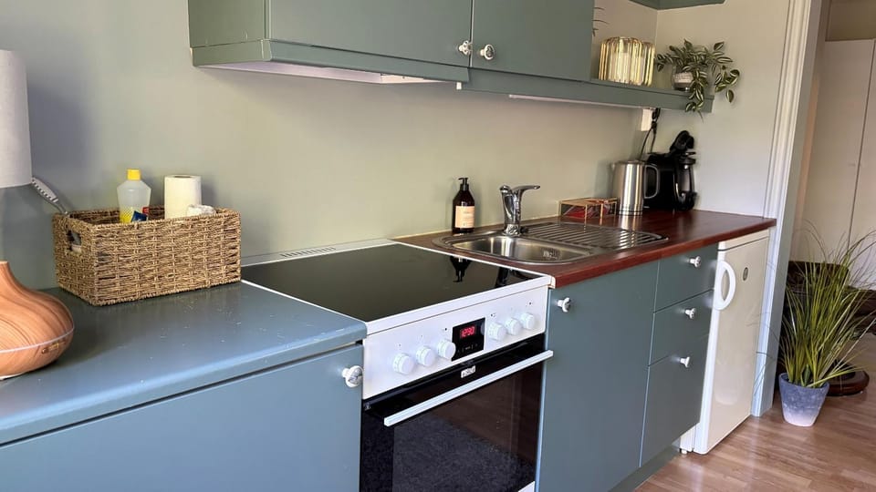 Kitchen or kitchenette, oven, stove