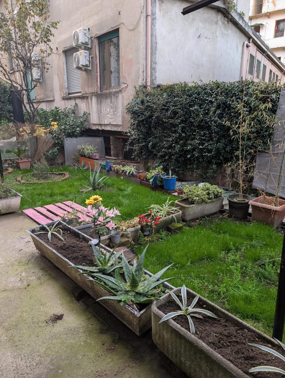 View (from property/room)