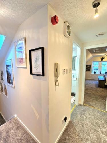 Inverness City Escape!! Apartment in Inverness