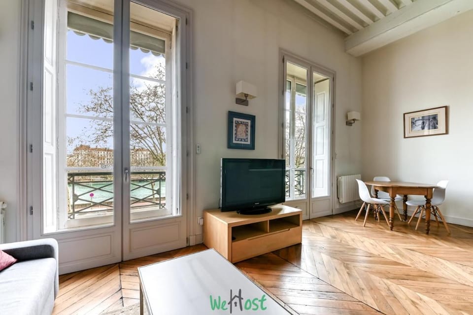 Vue sur le Rhône - Appart cosy centre Lyon Apartment in Lyon