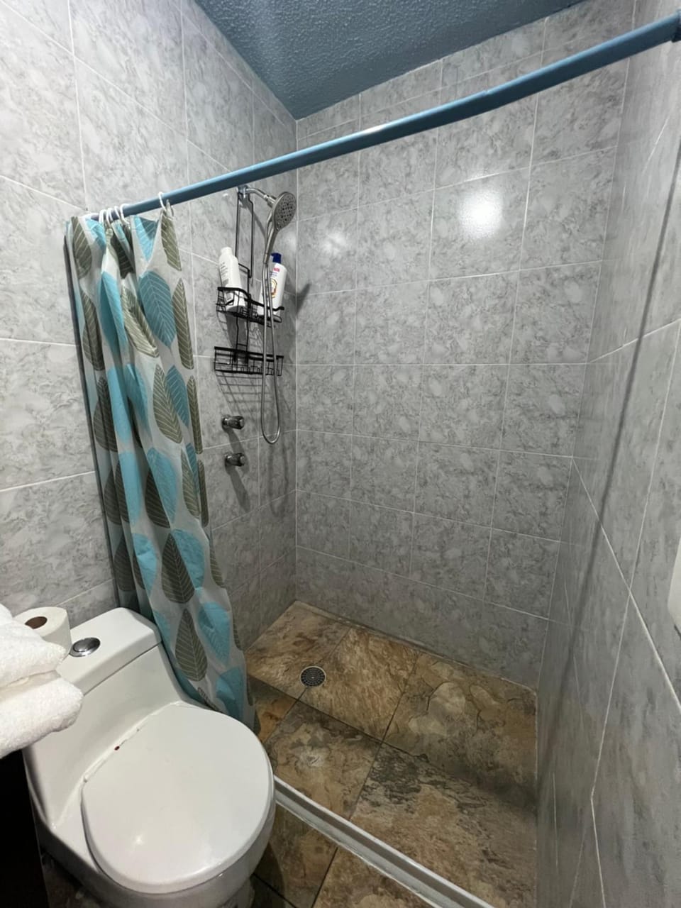 Comfortable house for rest Apartment in Morelia