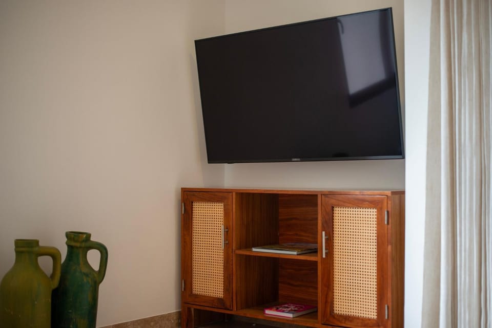 TV and multimedia