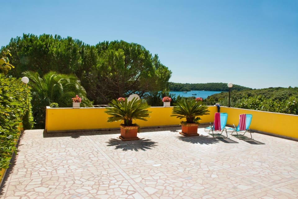 Sea view