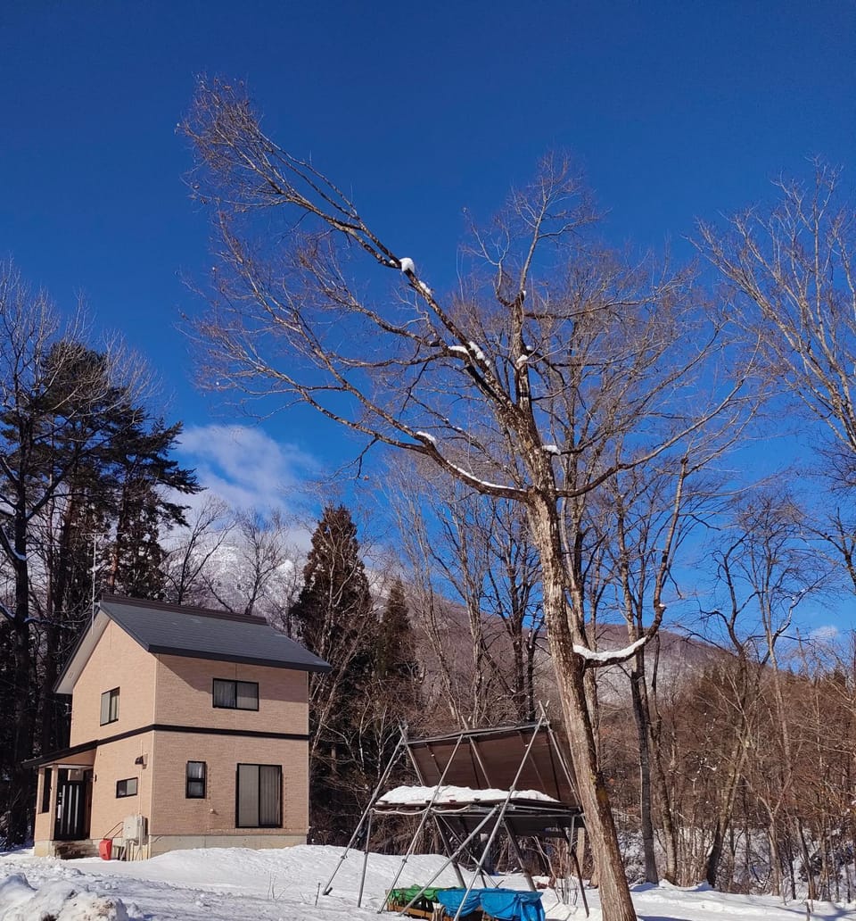 Property building, Day, Natural landscape, Winter