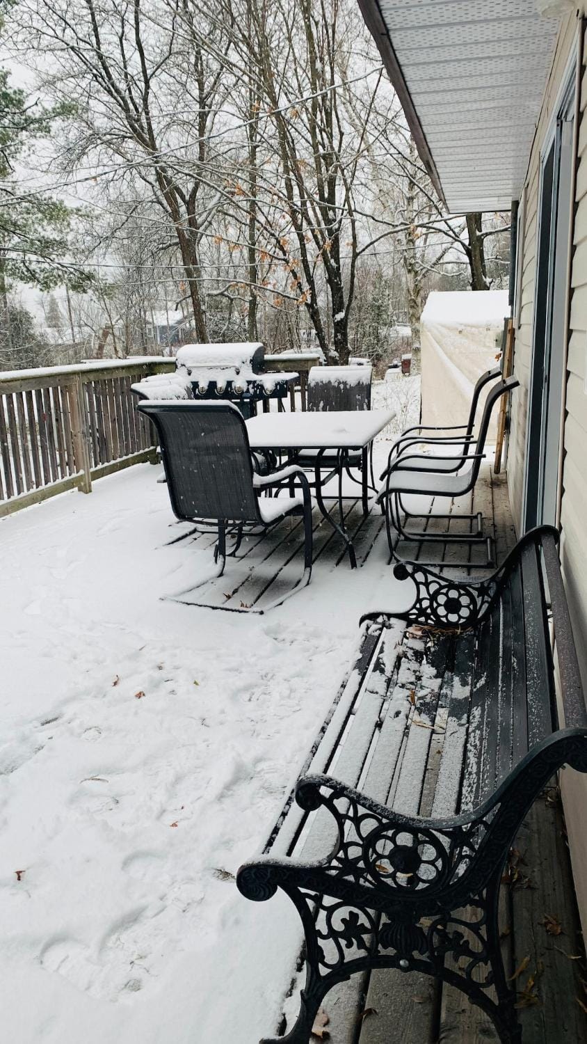 Winter