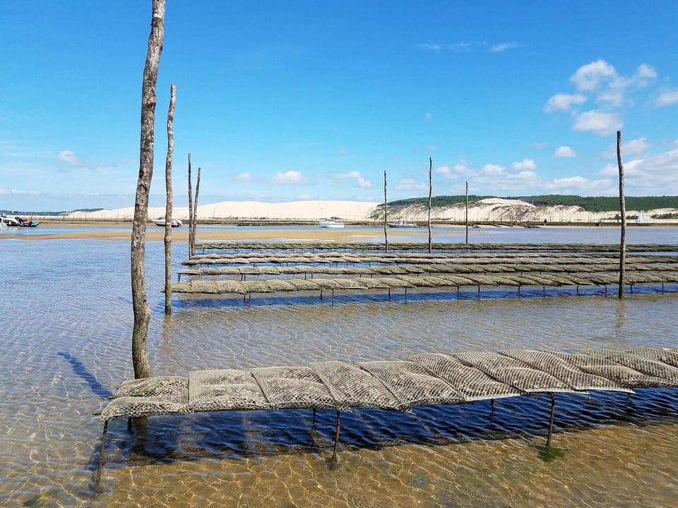 Charmante maison aux Abatilles : 2 chambres, jardin près de la plage Villa in Arcachon