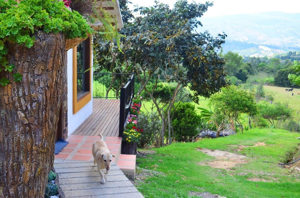San Pedro Apartment in Cundinamarca, Colombia