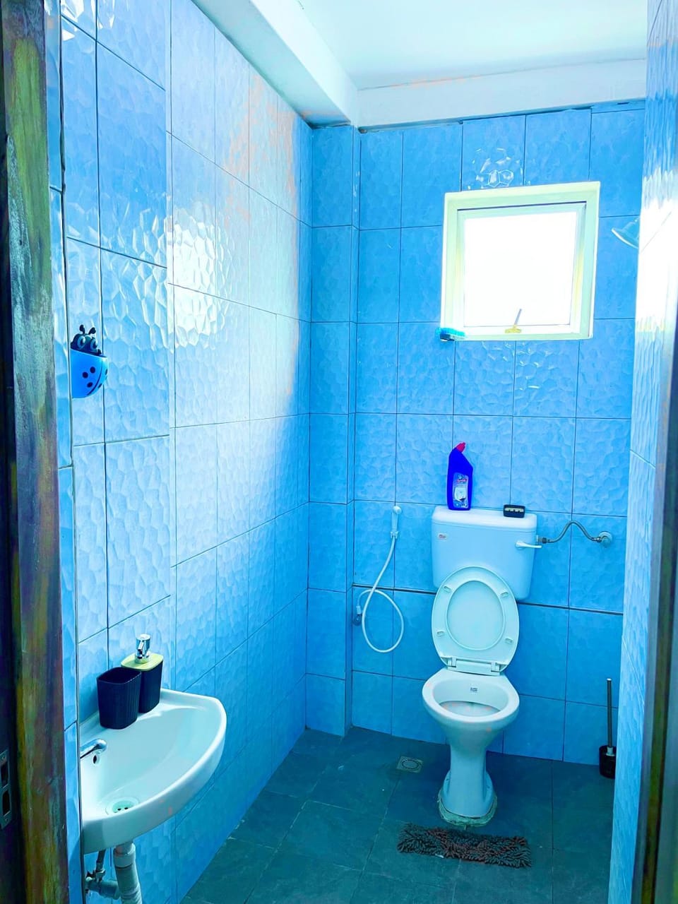 Shower, Toilet