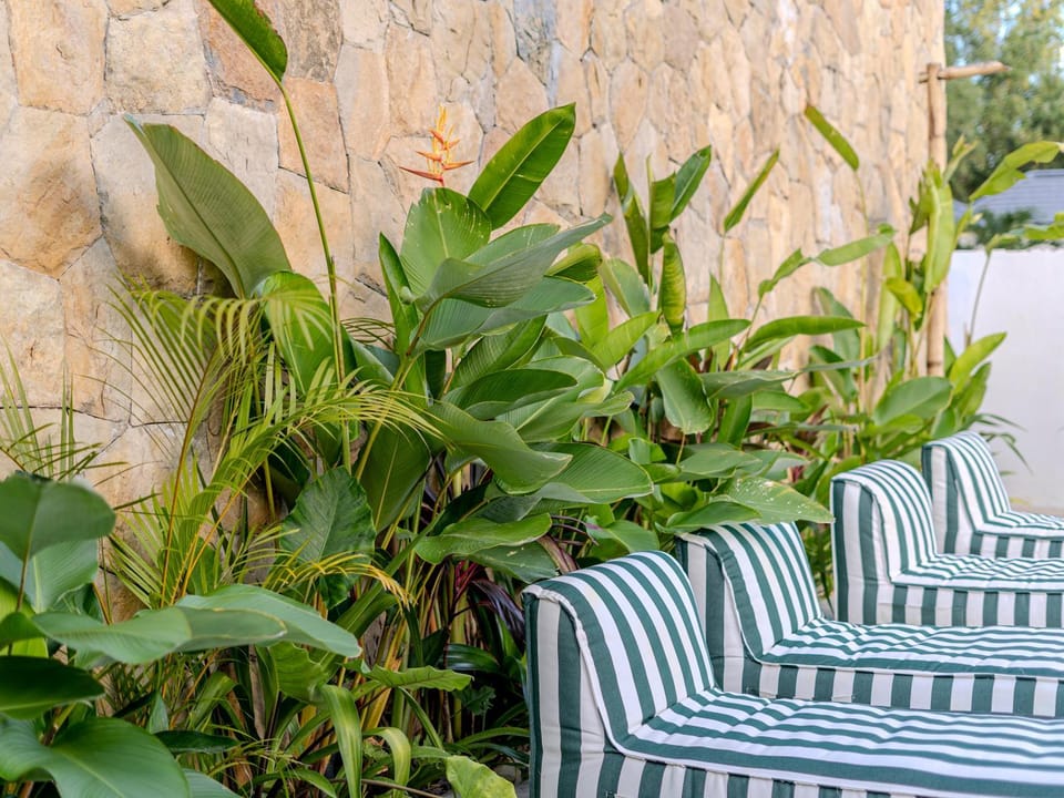Day, Garden, Garden view
