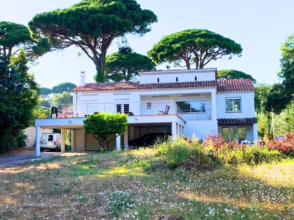 Property building, Natural landscape, Garden