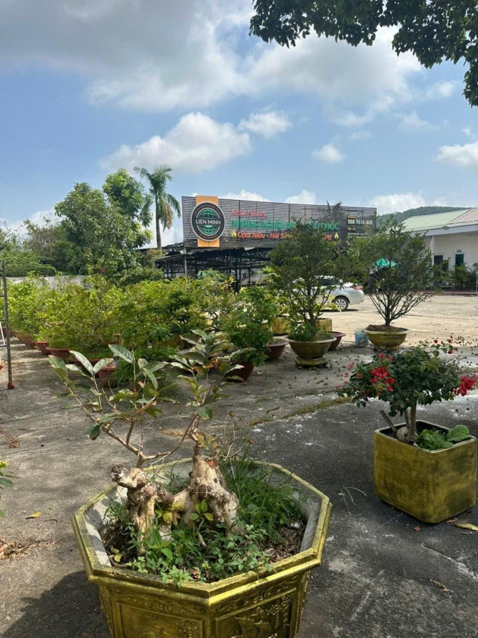 Garden