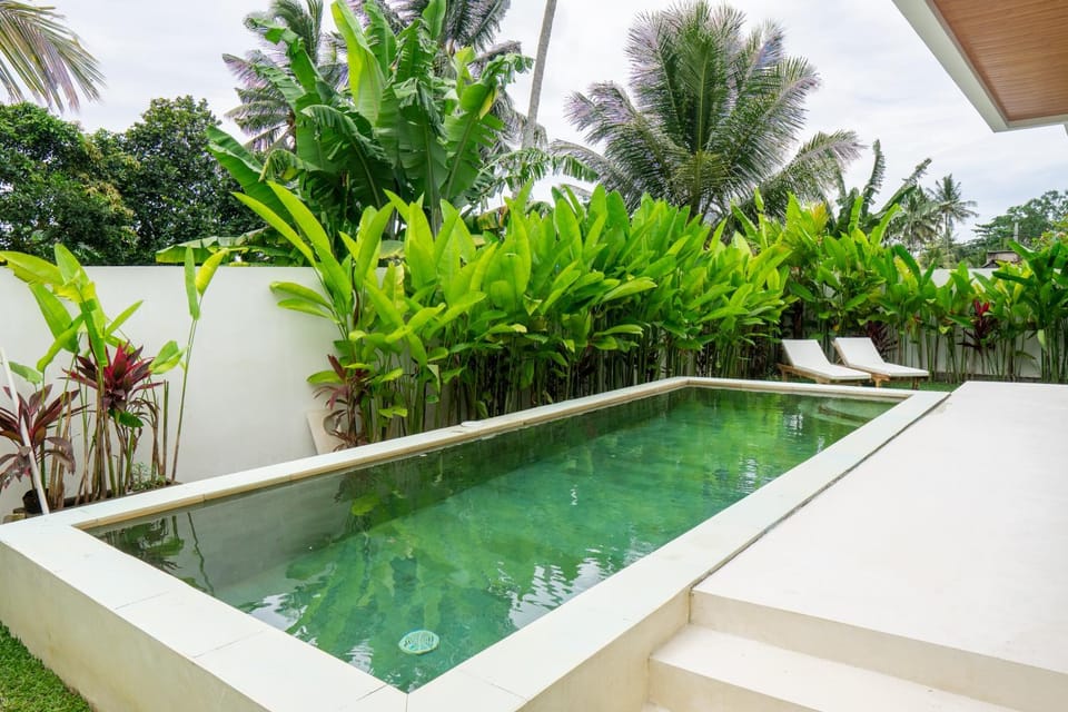 Garden, Garden view, Swimming pool