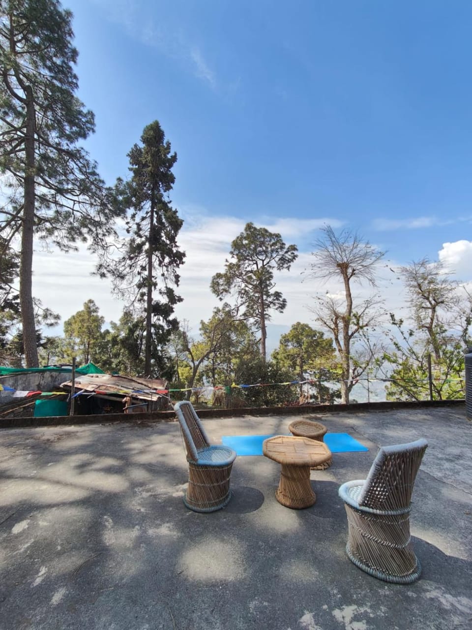 Day, Natural landscape, Garden