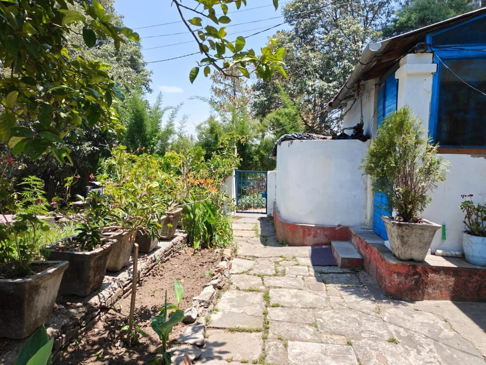 Property building, Spring, Day, Garden, Garden, Garden view