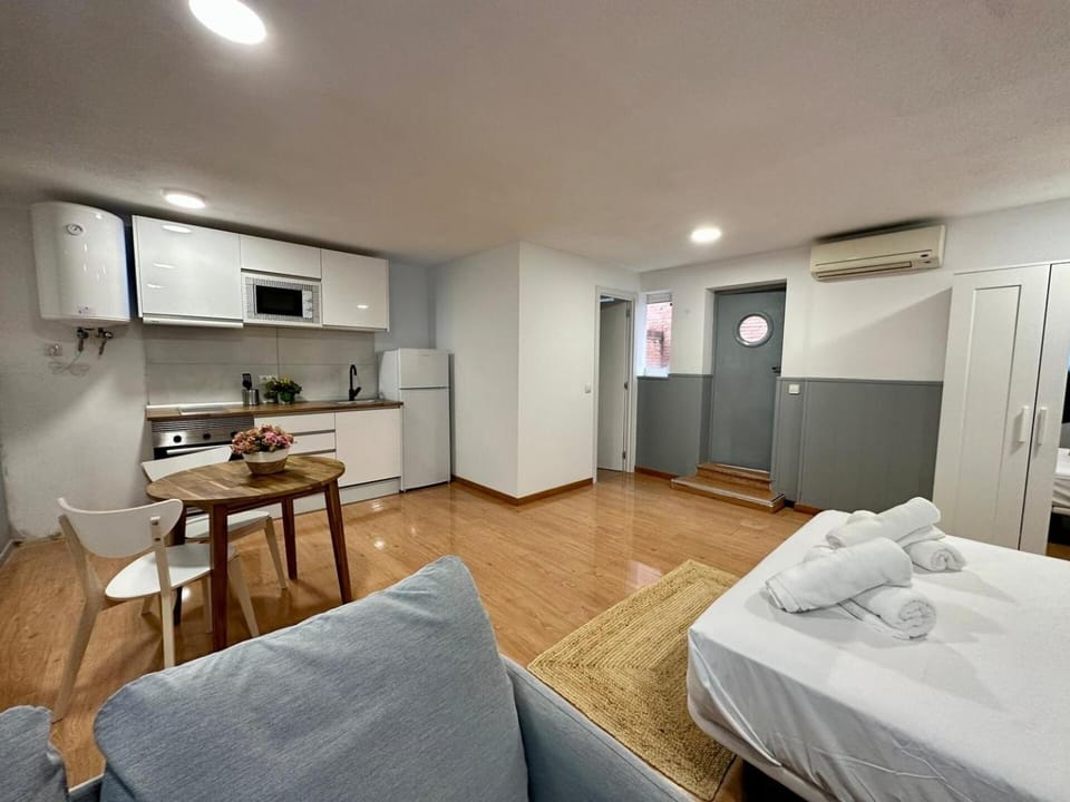 Spacious studio near the center Apartment in Madrid