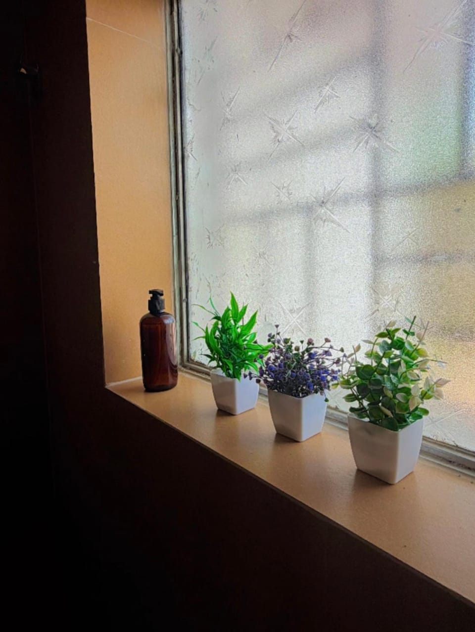 Romanov Home Stays-Ivy Apartment in Baga
