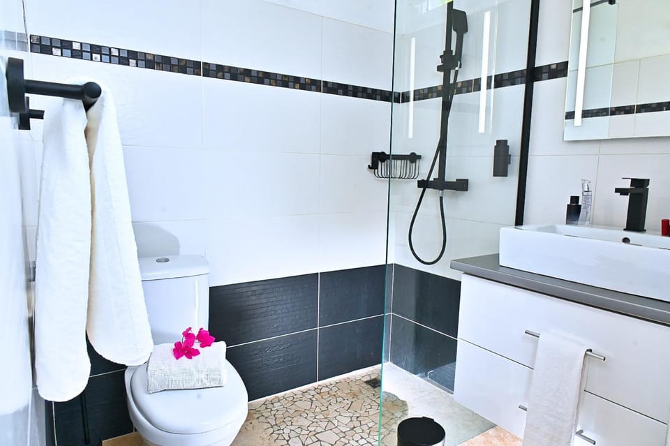 Shower, Toilet, Bathroom, towels