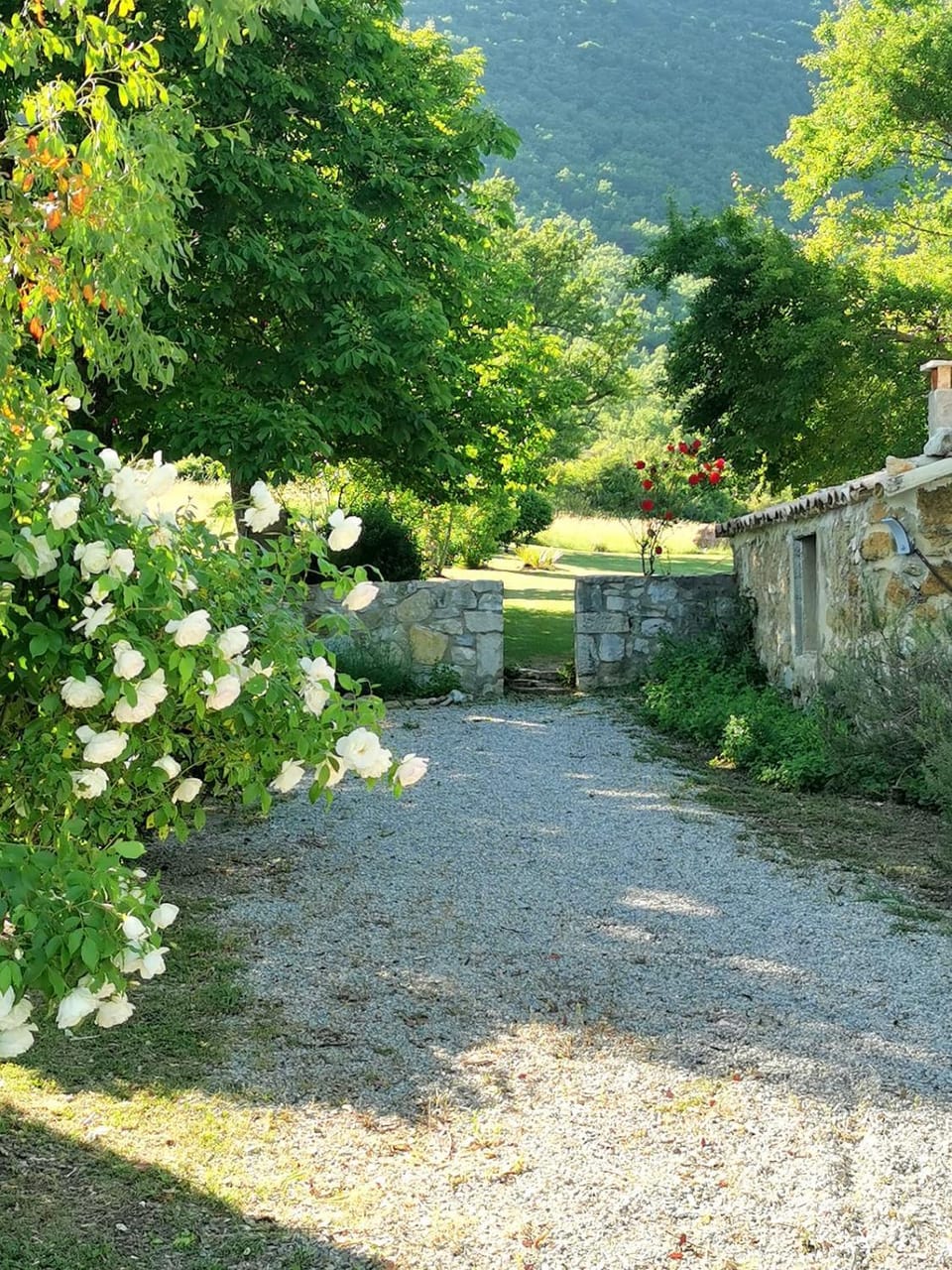 Natural landscape, Garden, Garden view