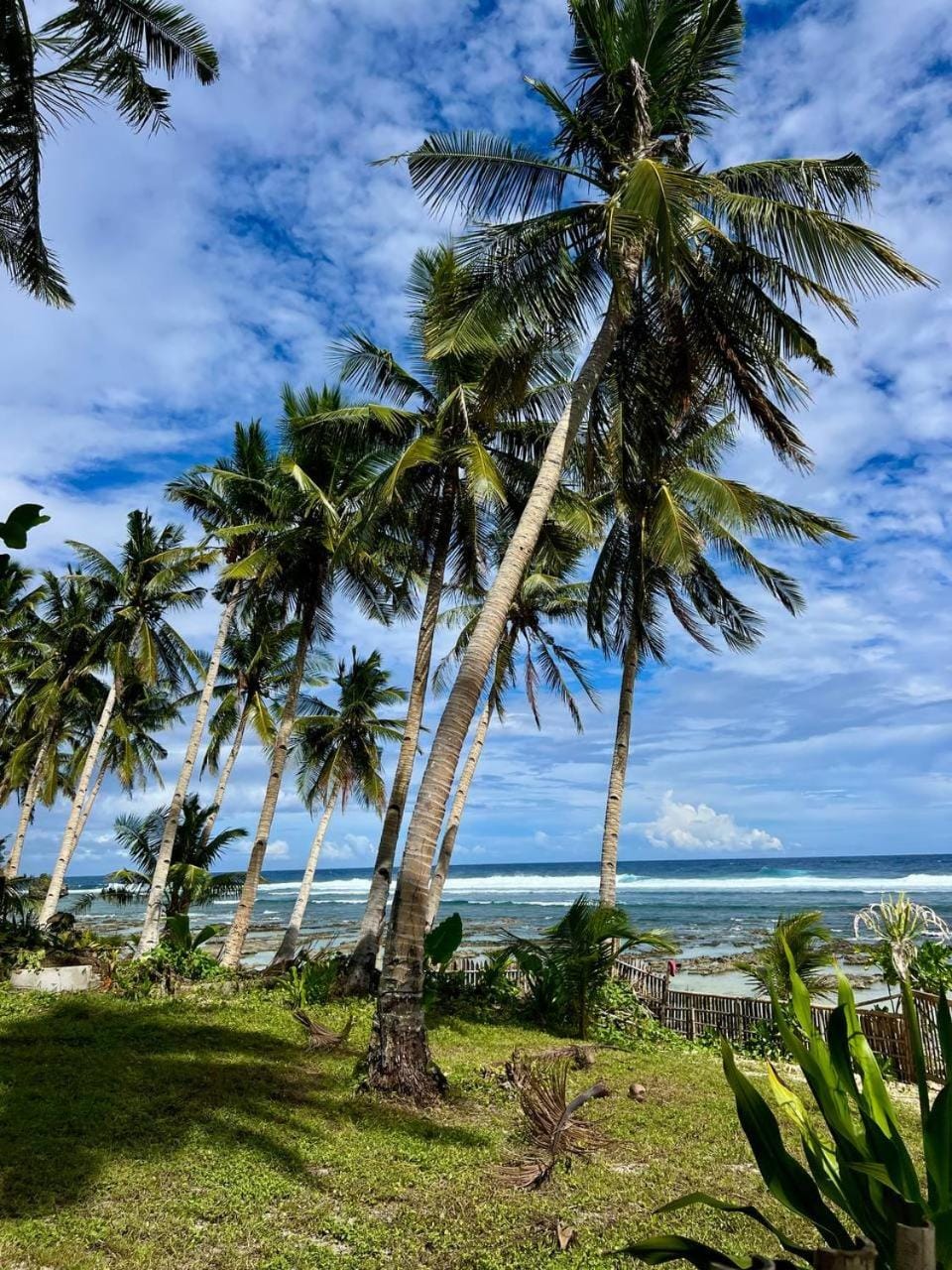 Garden, Beach, Beach, Garden view