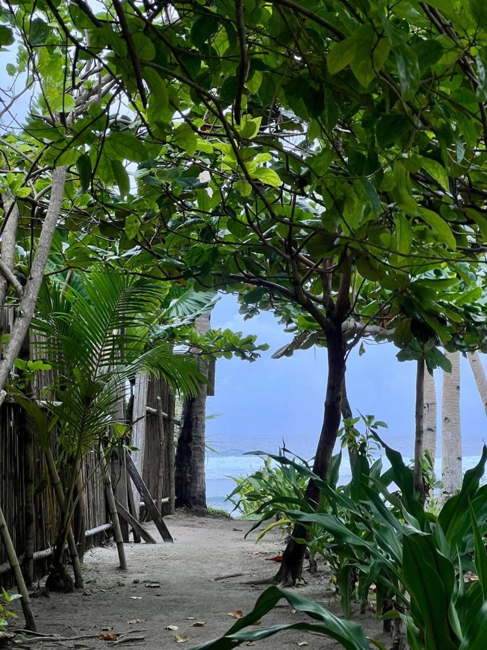 Beach
