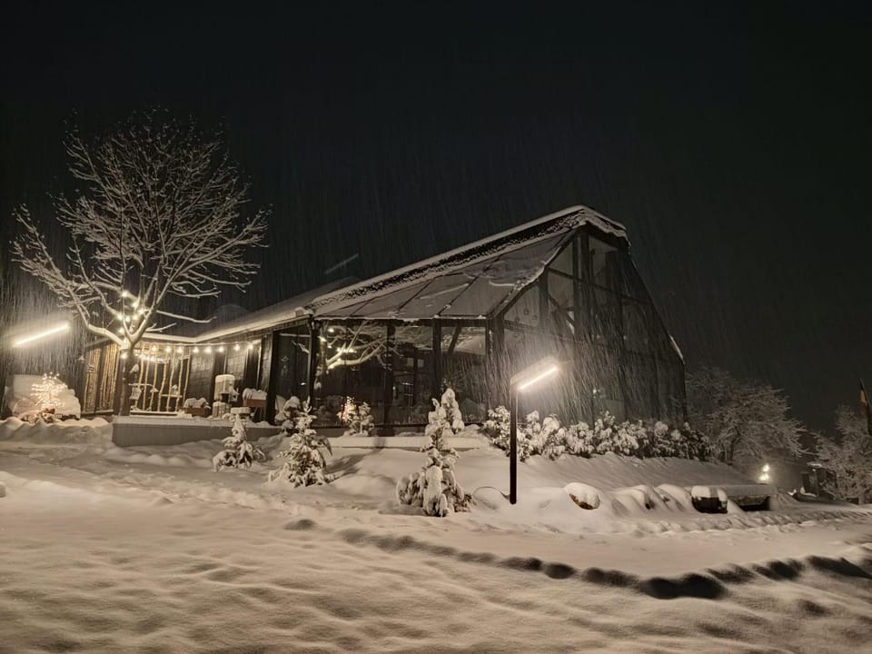 Restaurant/places to eat, Night