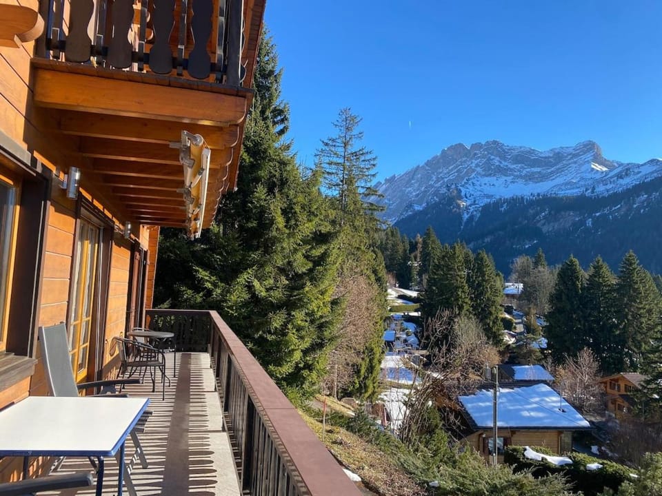 Family chalet for 8 people, spacious, bright Chalet in Ollon