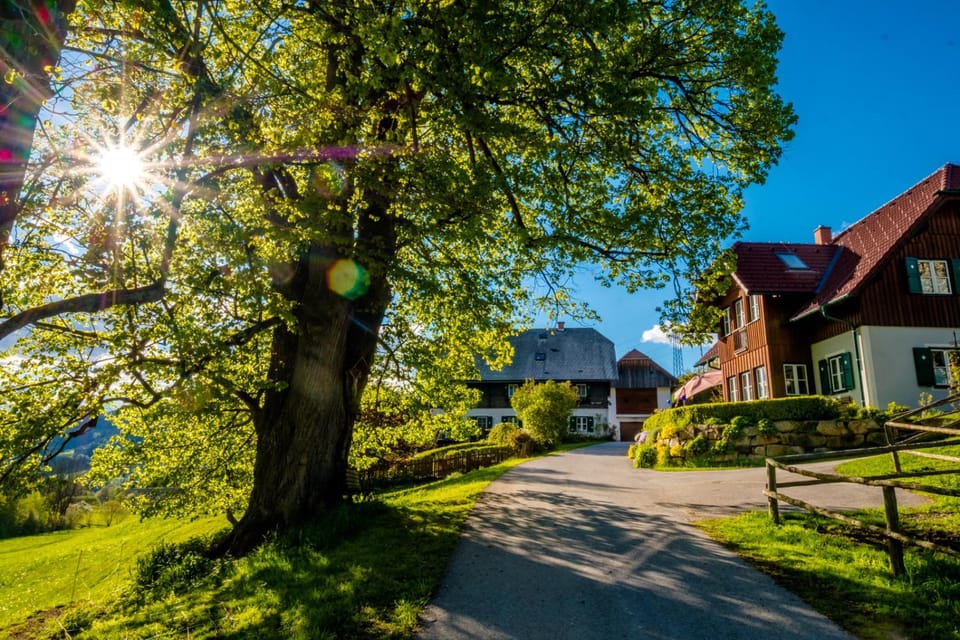Property building, Day, Natural landscape, Garden view, Street view