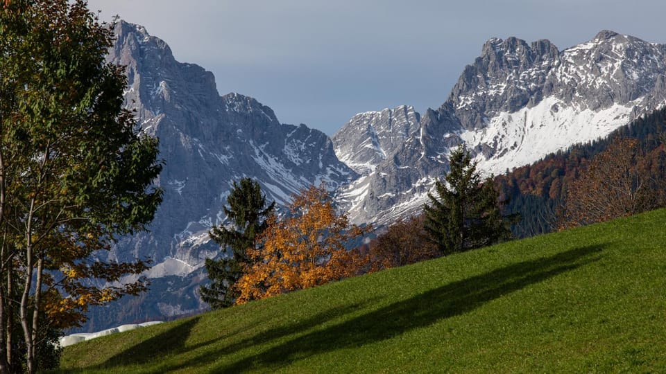 Chalet Tamberg Chalet in Upper Austria