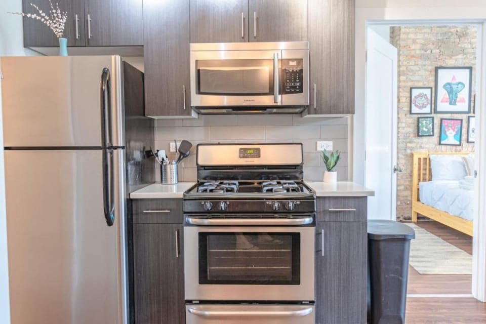 Spacious 3BR 420-Friendly | McCormick & UIC Campus Apartment in South Loop