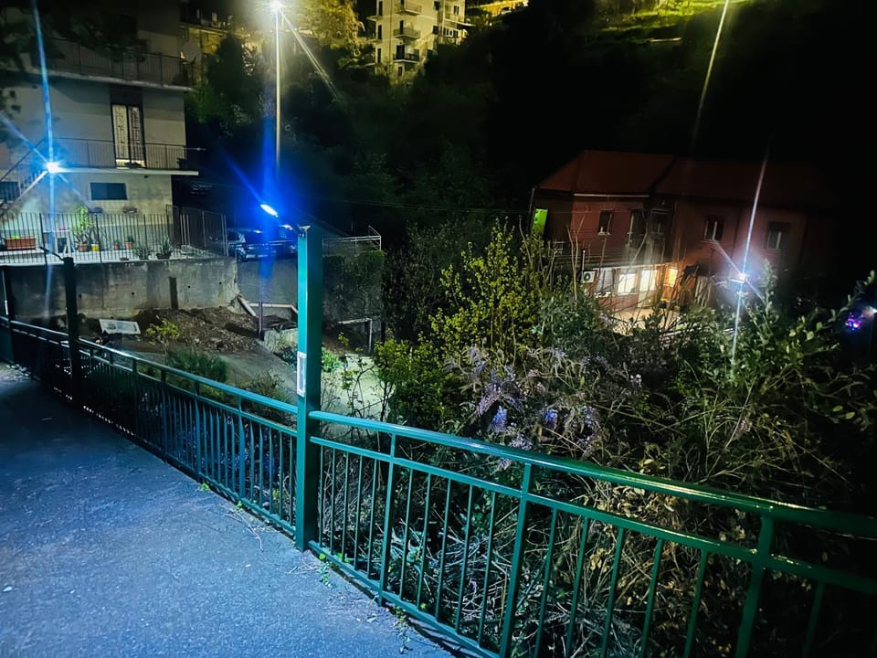 Night, Garden, Garden view