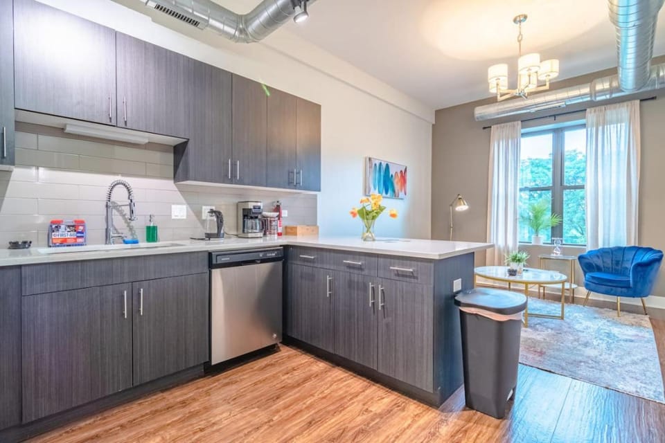 Chicago Spacious 3Br Smoke Ok Near McCormick Place Apartment in South Loop