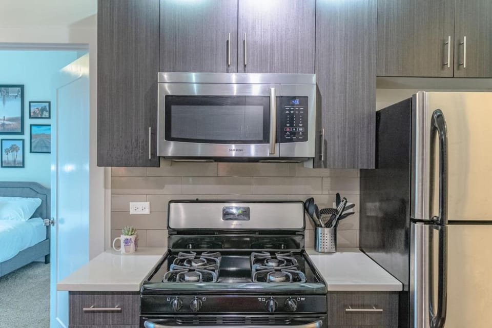 Chicago Spacious 3Br Smoke Ok Near McCormick Place Apartment in South Loop